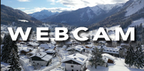 webcam forni di sopra